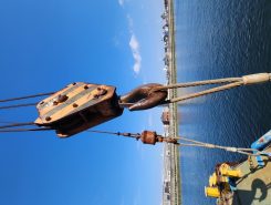 20250121